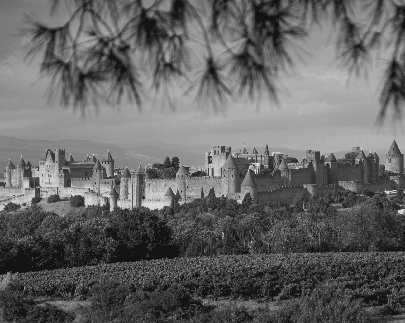 Investir dans l'immobilier d'entreprise à Narbonne