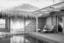 Villa tropicale avec une piscine au bord de la mer