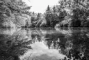 Un bel étang entouré d'arbres