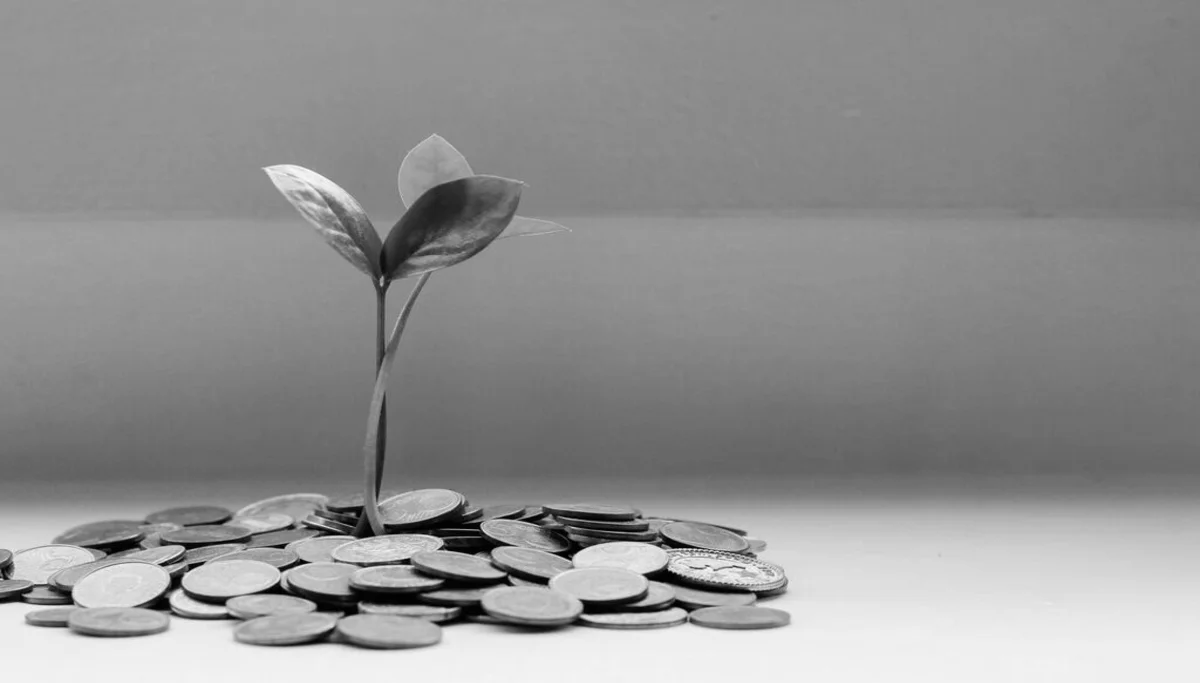 Une plante qui pousse au milieu de pièces de monnaie